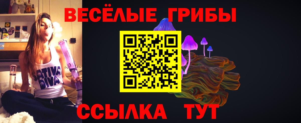 Армавир  Псилоцибиновые грибы GOLDEN TEACHER  Вход с VPN 